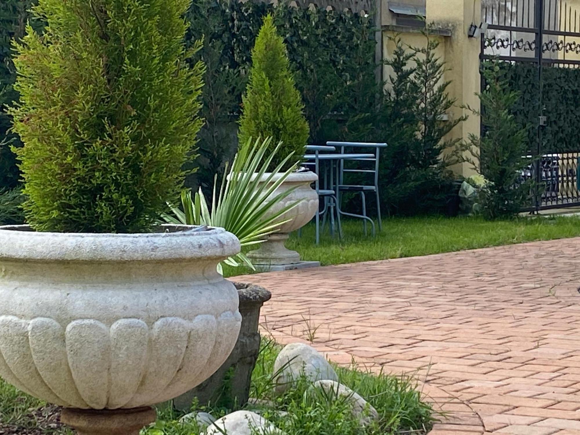 Savany B&Apartments Buscate Екстер'єр фото